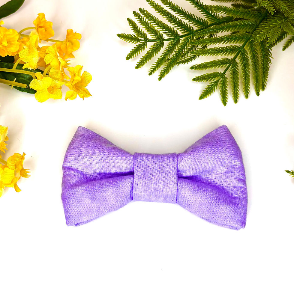 Thumbnail: Pet Bow Ties - Spring '24 Mystery Set -