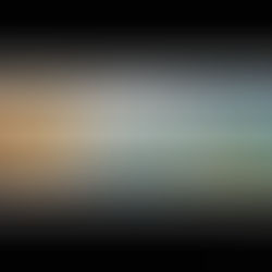 Beyond Indemnity: The Evolution,Complexity, and Future of Homeowners Insurance