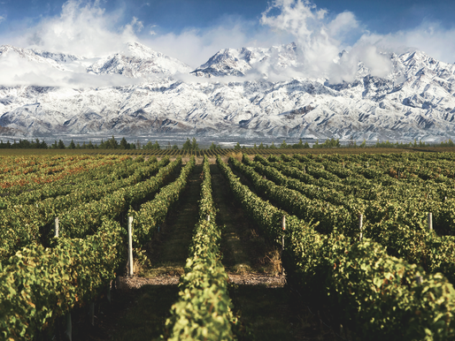 Viagem a Mendoza - Sobre a capital da província 