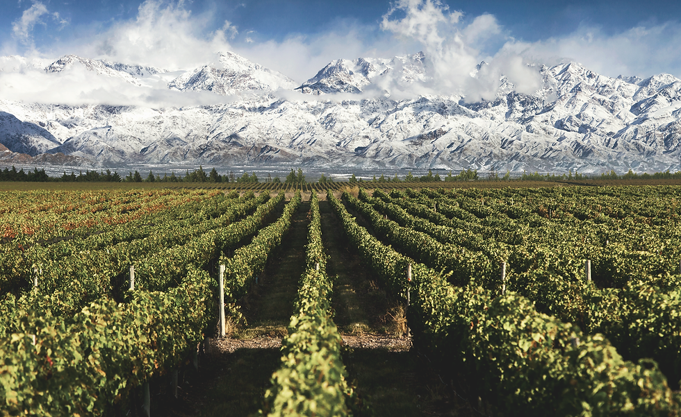 Boas Taças; Mendoza; Argentina