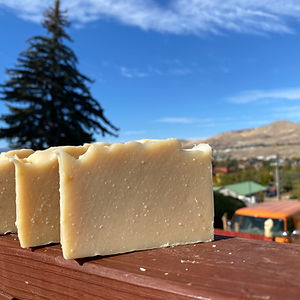Bar Soap