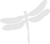 Image of Dragonfly part of Camilion Designs Logo
