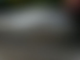 Arrivée du Sling 2 n°253.