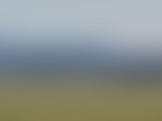 Sling 2 sn°214 F-PEUF bientôt le premier vol...