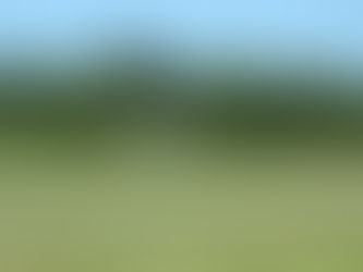 Sling 2 n°253, premier vol.