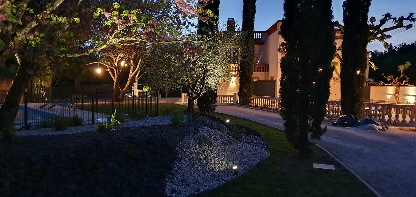 Olisa_éclairage_extérieur_arbre