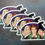 Thumbnail: Vinyl Decal - Sanderson Sisters