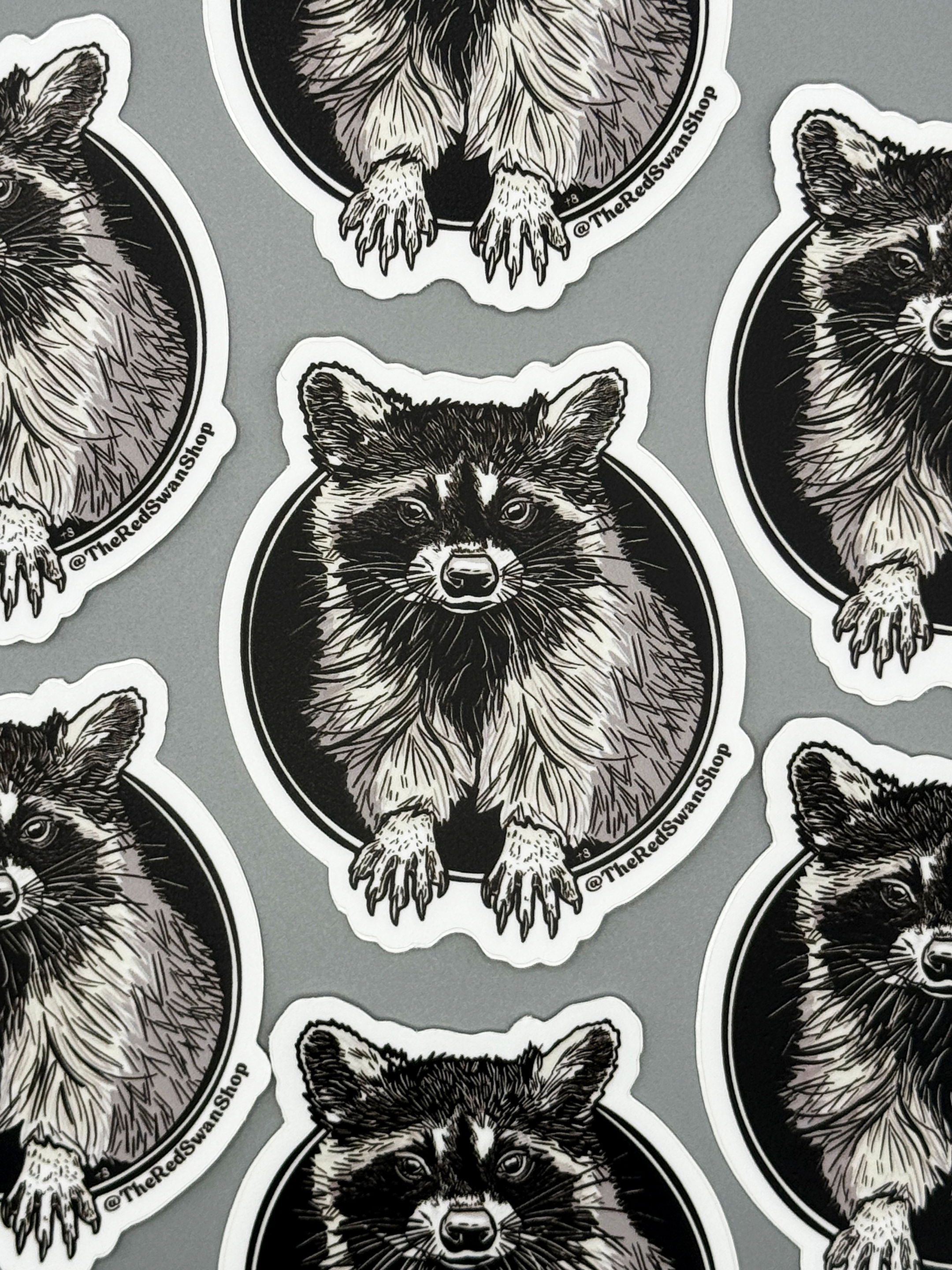 Vinyl Decal - Raccoon
