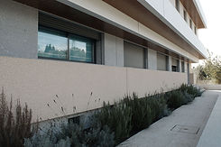 DSC_2990x.jpg