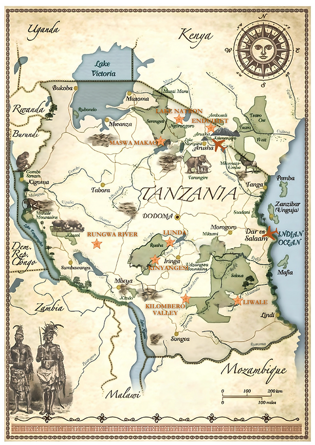 Screenshot 2026-01-29 at 09.47.30.png