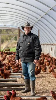 Daniel Salatin standing in a large hoop-house chicken coop, surrounded by a flock of chickens.