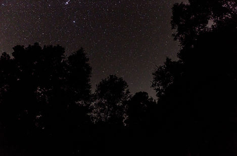 Starry Night Sky_edited.jpg