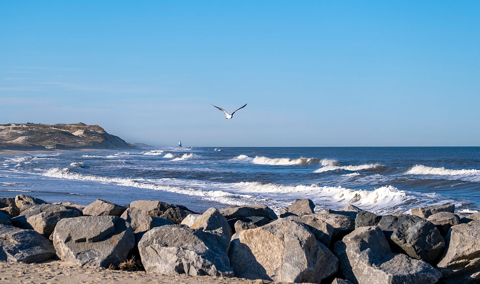 Seagull Beach Rocks