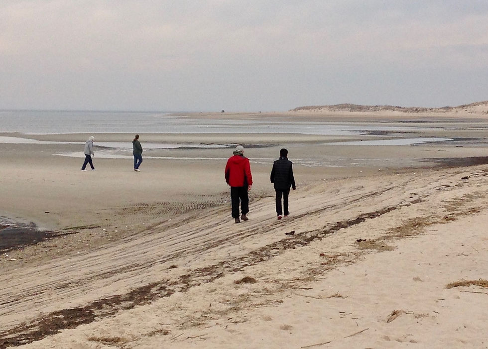 People Walking on Beach