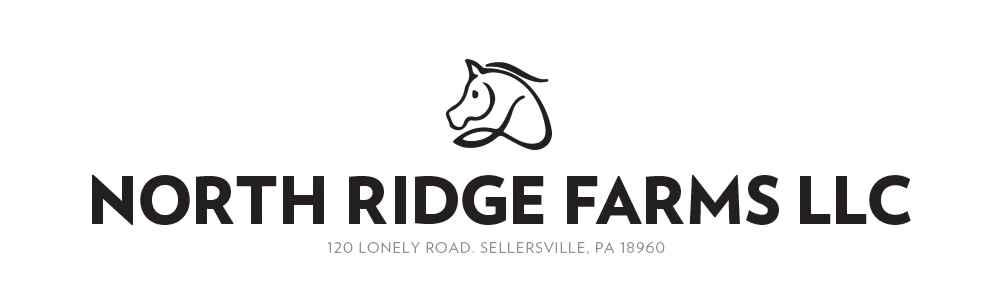 northridge_logo1 - Background Removed.png