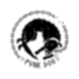 PD - Logo - Transparant BG (no texture).