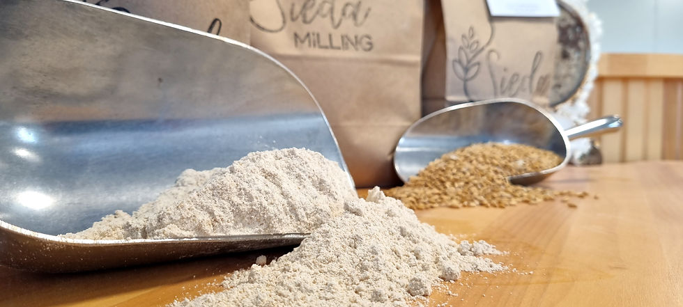 Metal scoops with flour and grains on a wooden table. Brown paper bags in the background labeled "Sieda Milling." Calm, rustic setting.