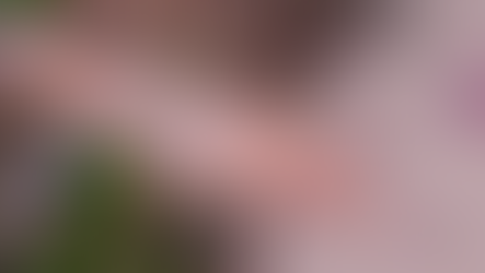 #516# ~ No tiene sentido