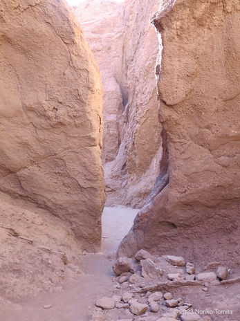 "Desert 23°S" in the Atacama Desert organized by La Wayaka Current, 2023 / fiber artist Noriko Tomita / 富田紀子 / アタカマ砂漠