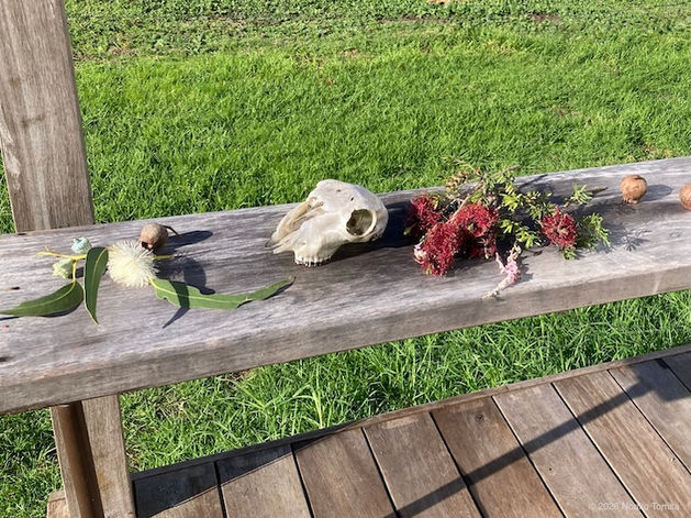 Japanese textile and fiber artist Noriko Tomita participated in The Farm Margaret River 2026 in Australia, and created 'When The Wind Blows': one is creating a sacred space inspired by a traditional Japanese certain Noren, and the other is a work "Textiles Created by Wind." 日本人テキスタイル・ファイバーアーティスト富田紀子がオーストラリアのアーティストインレジデンスThe Farm Margaret River 2026に参加、作品'When The Wind Blows'として、日本ののれんがモチーフの聖域と、”風によるテキスタイル”の2つを発表。