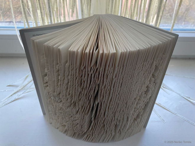 'Spelling Patterns: Weaving in Disappearing Languages', was presented by Japanese textile fiber artist Noriko Tomita, at Open Solitude Winter 2025, organized by Akademie Schloss Solitude, Stuttgart, Germany.