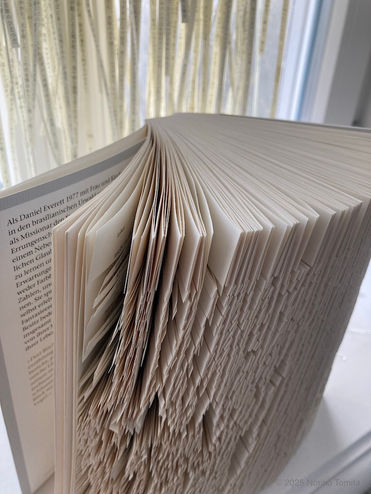 'Spelling Patterns: Weaving in Disappearing Languages', was presented by Japanese textile fiber artist Noriko Tomita, at Open Solitude Winter 2025, organized by Akademie Schloss Solitude, Stuttgart, Germany.