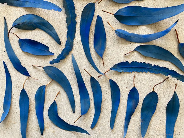 Japanese textile and fiber artist Noriko Tomita participated in The Farm Margaret River 2026 in Australia, and created 'When The Wind Blows': one is creating a sacred space inspired by a traditional Japanese certain Noren, and the other is a work "Textiles Created by Wind." 日本人テキスタイル・ファイバーアーティスト富田紀子がオーストラリアのアーティストインレジデンスThe Farm Margaret River 2026に参加、作品'When The Wind Blows'として、日本ののれんがモチーフの聖域と、”風によるテキスタイル”の2つを発表。