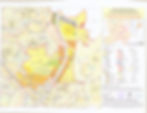 NAINA TPS 8 Plan