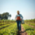 FARMER SPRAYING HERBICIDE IN FARM.jpg