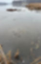 Screenshot 2024-07-30 at 4.39.57 PM.JPEG