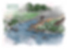 FOMP Canal Street Boat Launch Final V2.jpg