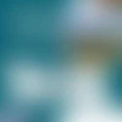 EquiPassports ID-only Equine Passports