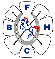 Blackpool and Flyde HCBUTTON.png