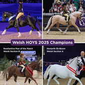 WPCS 125th Anniversary HOYS Display Announcement 
