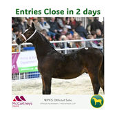 WPCS OFFICIAL SALE - ENTRIES CLOSE IN 2 DAYS