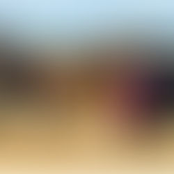 Harness Horse and Pony of the Year