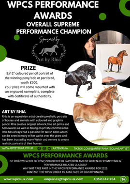 WPCS Performance Awards
