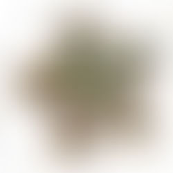 Dydd Gŵyl Dewi hapus i bawb! Happy St. David's Day everyone!