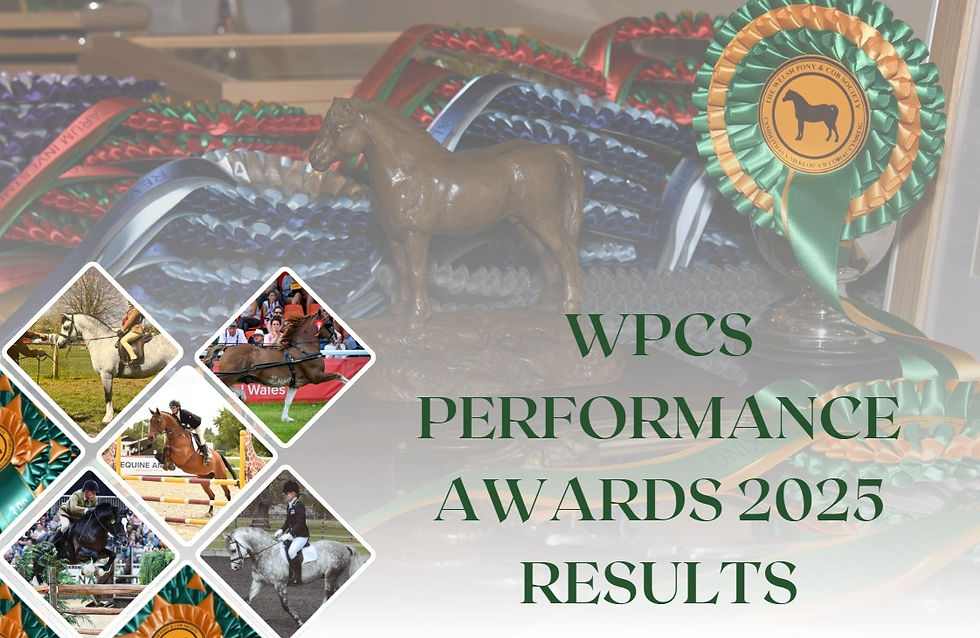 WPCS Performance Awards Results announced
