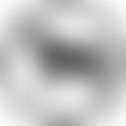 Notice for Breeders of Welsh Part-Bred Equines