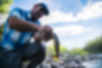 Riverside catch
