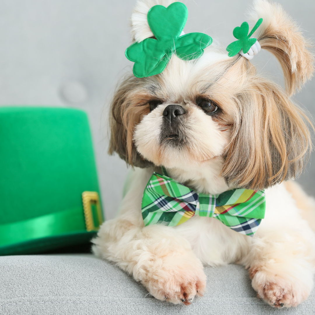 Best Friends Lunch - 12pm seating