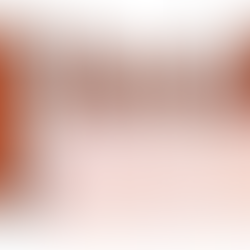 The Editorial Section