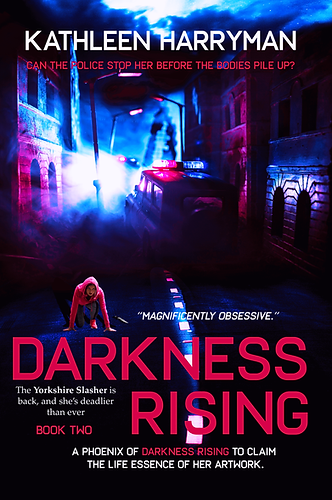 Darkness Rising: Book 2 In the Darkness Series