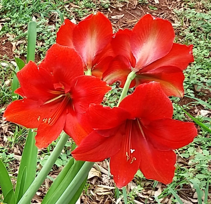 20171021_130810_edited