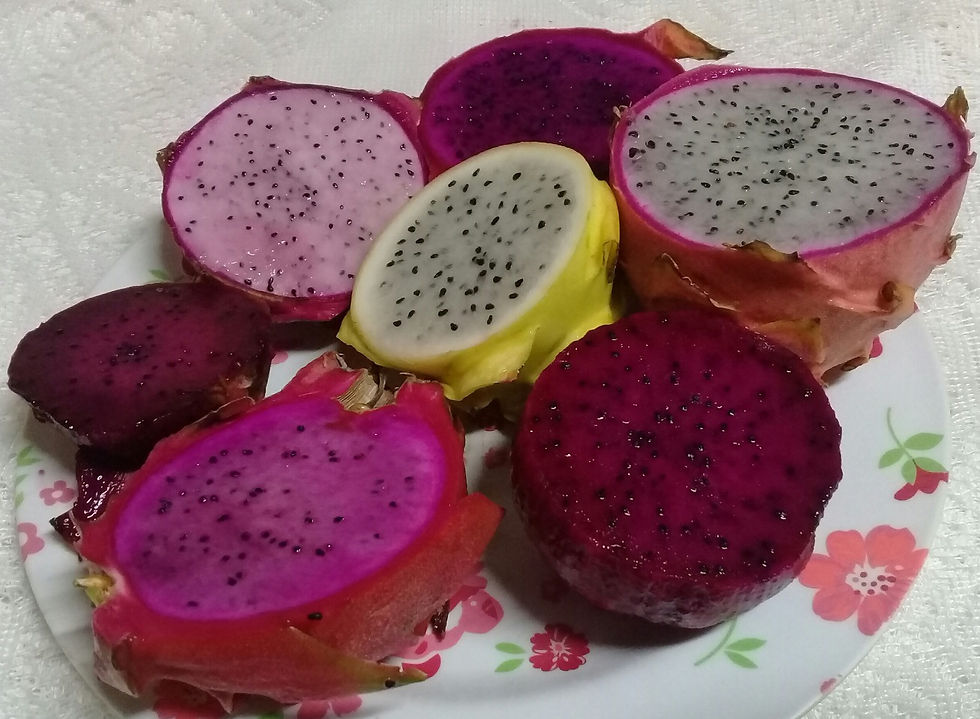 20180129_220247_edited