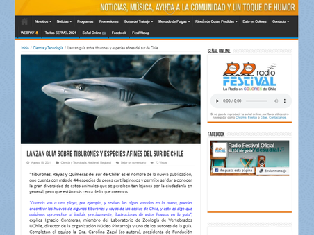 Radio FESTIVAL: Guía sobre tiburones y especies afines de Oceanósfera
