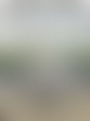 葬儀の供花を贈るときの手順とマナー、値段の相場はどれくらい？