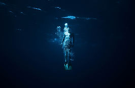 Free Dive