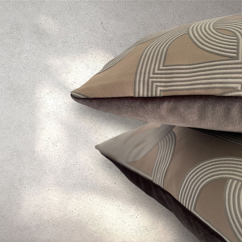Hermes Circuit square pillow with taupe velvet back